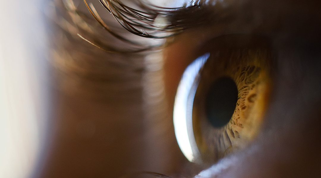 Das Offensichtliche über Lungenkrebs